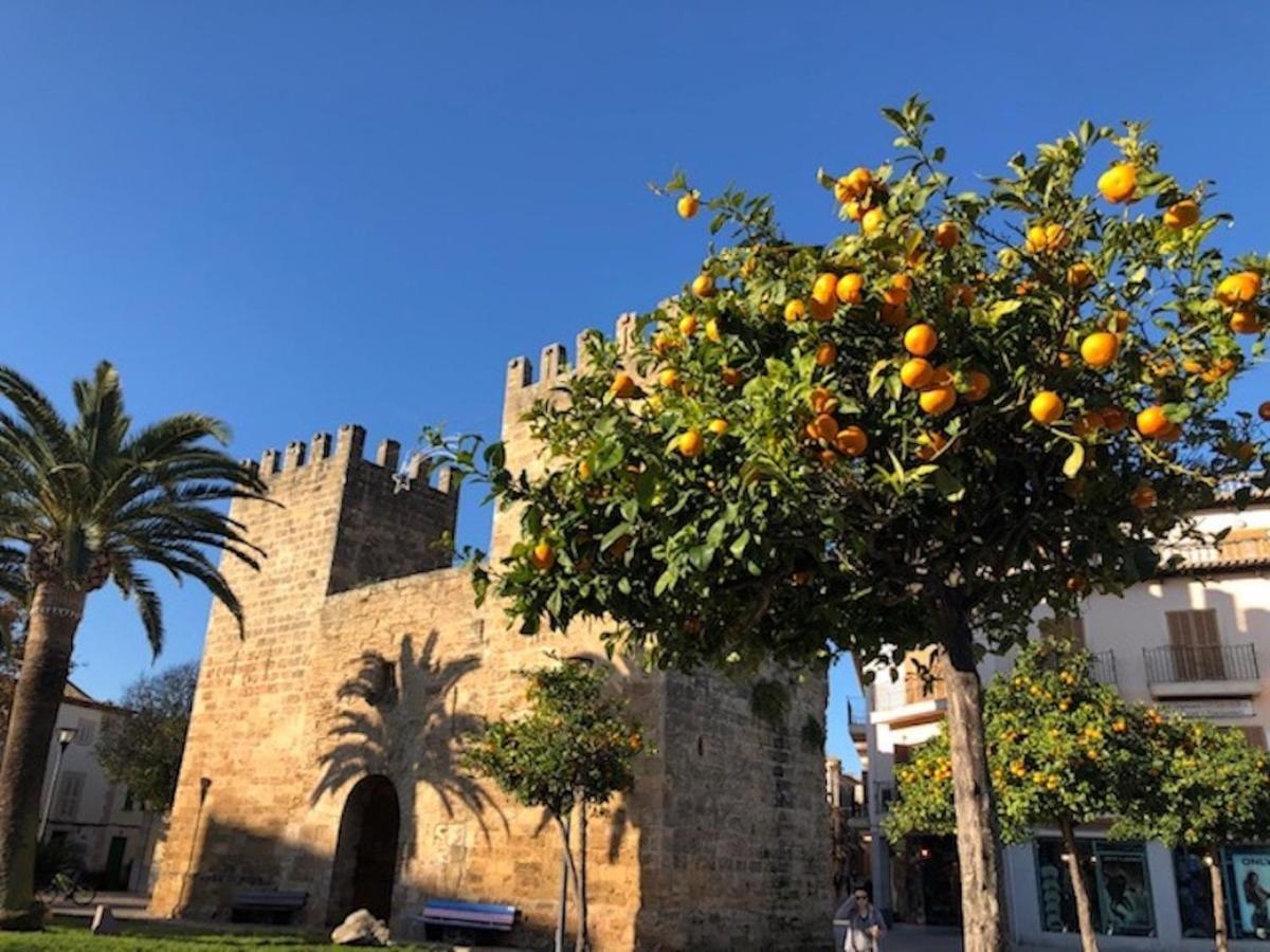 Artist'S House,En El Centro Historico De Alcudia Hotel Eksteriør billede